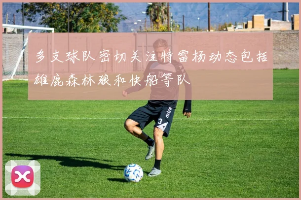多支球队密切关注特雷杨动态包括雄鹿森林狼和快船等队