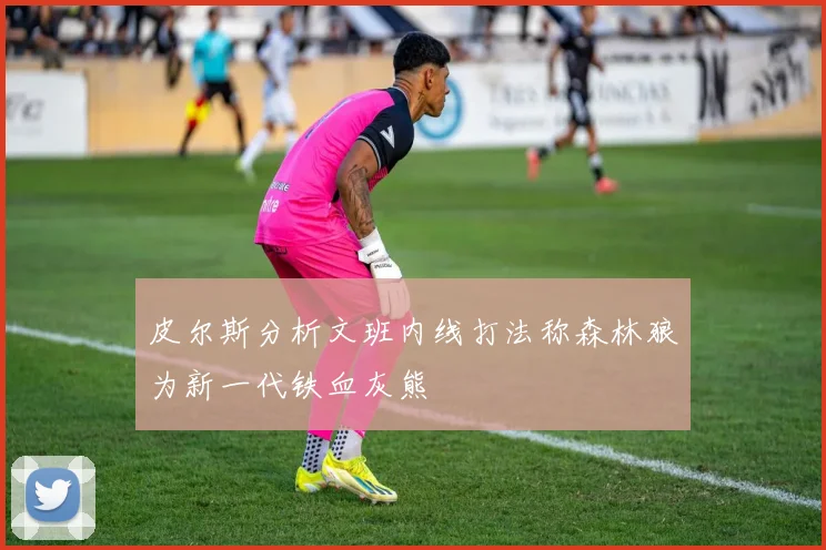 皮尔斯分析文班内线打法称森林狼为新一代铁血灰熊